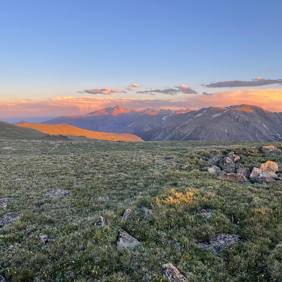 Meet your Posher, Dylan - Picture 1 of 1